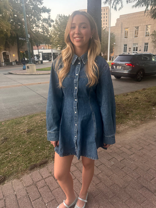 Denim Button Down Mini Dress
