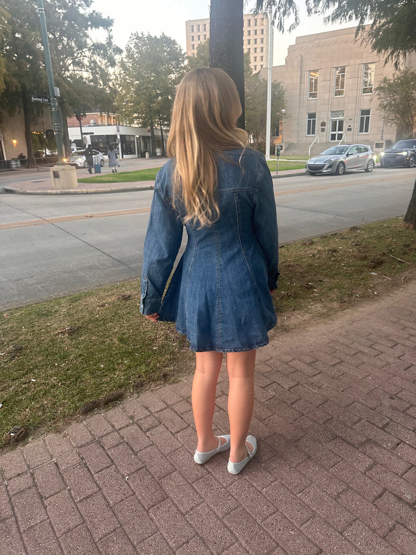 Denim Button Down Mini Dress